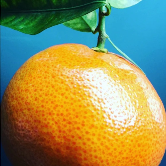 Let’s taste and see that the savings are sweet when you bundle !!!! - Picture 1 of 2